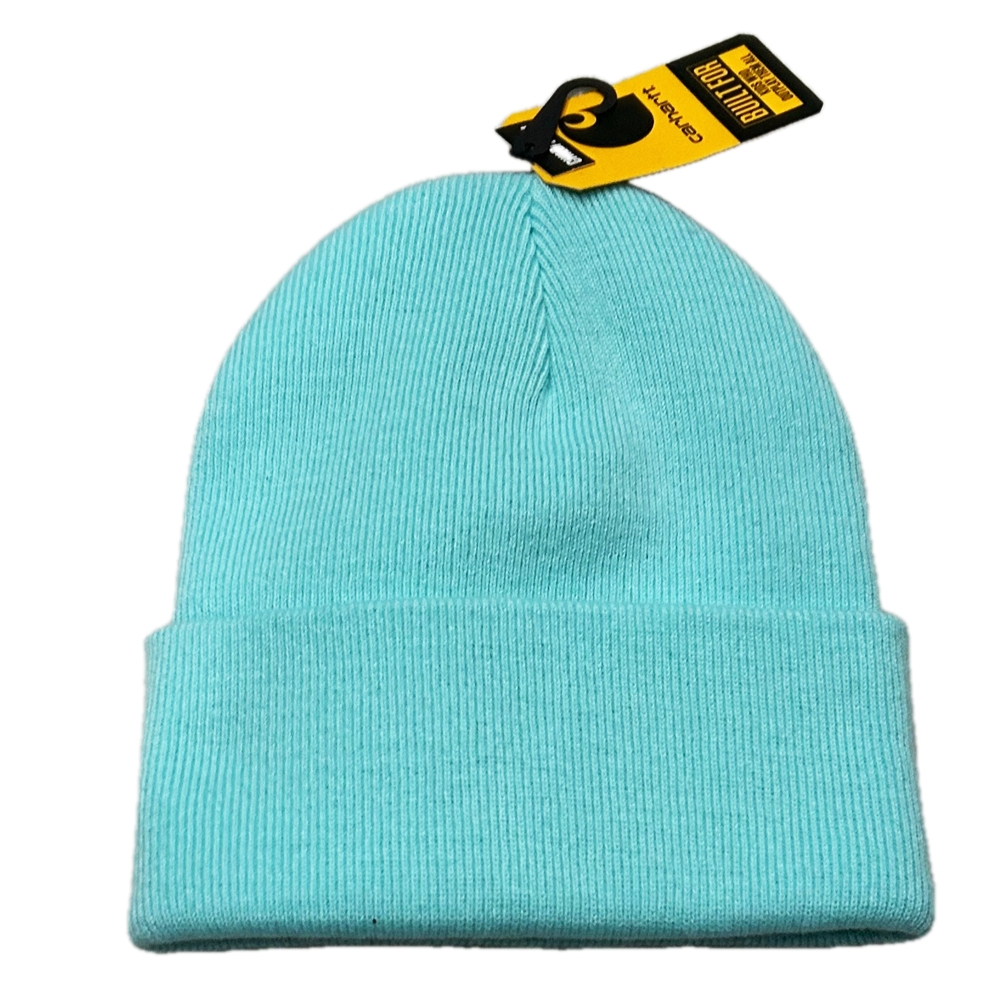 CARHARTT / カーハート US CARHARTT ACRYLIC WATCH HAT ARUBA BLUE-2