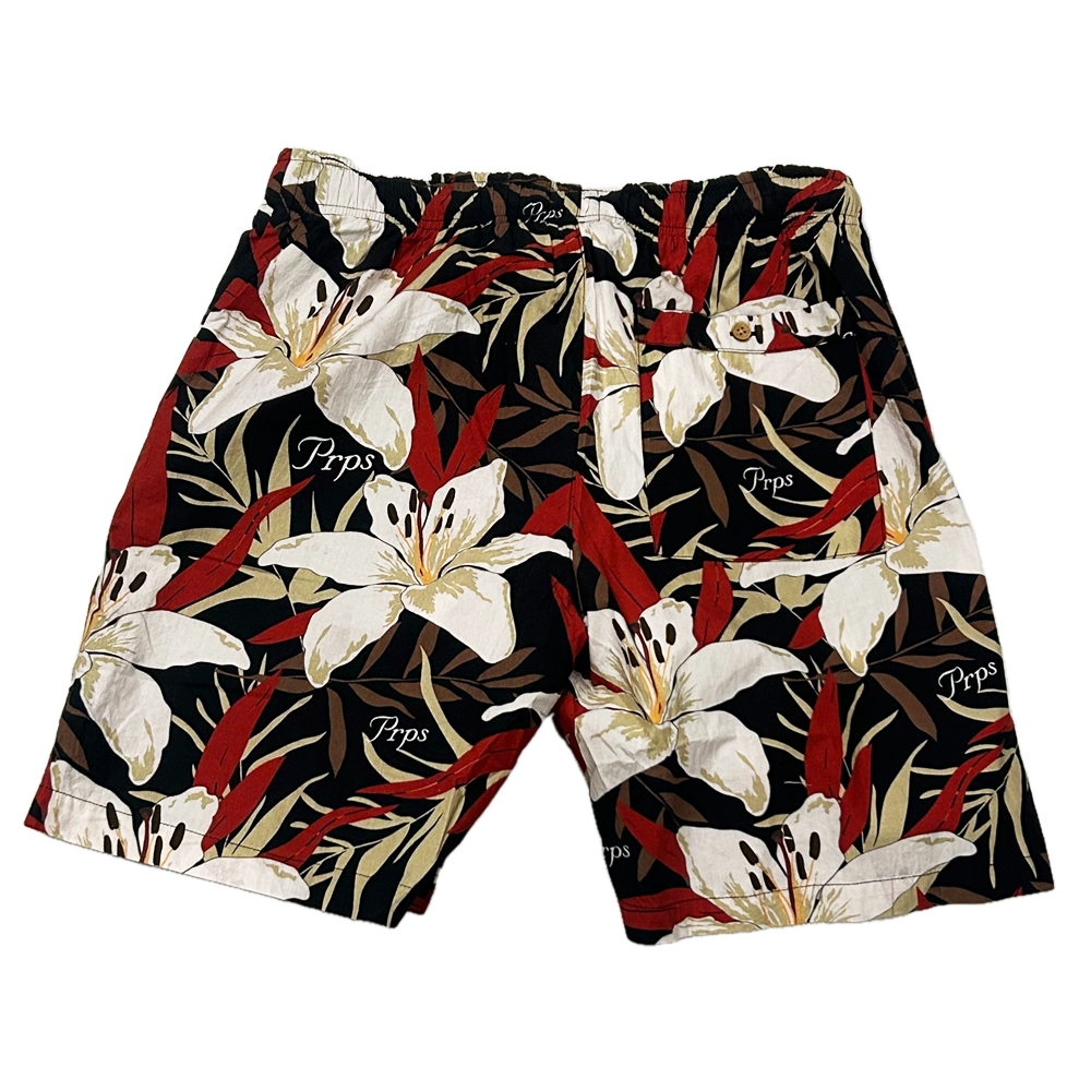 PRPS GOODS&CO. / ピーアールピーエス グッズ&コー BOTANICAL PATTERN EASY SHORTS M-2