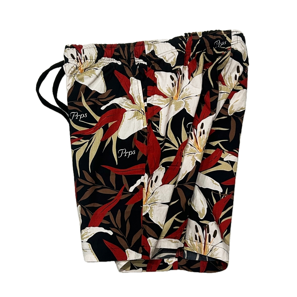PRPS GOODS&CO. / ピーアールピーエス グッズ&コー BOTANICAL PATTERN EASY SHORTS M-3